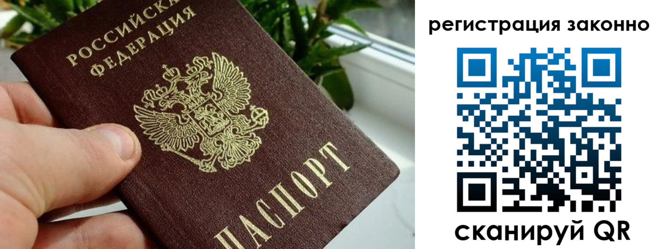 прописка гарантия в Киренске